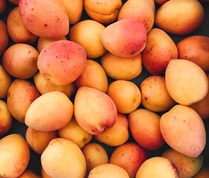 Preview wallpaper apricots, fruit, ripe, harvest