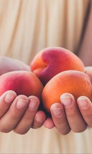 Preview wallpaper apricots, fruit, ripe, hands