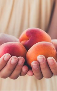 Preview wallpaper apricots, fruit, ripe, hands