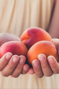 Preview wallpaper apricots, fruit, ripe, hands