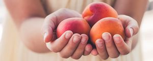 Preview wallpaper apricots, fruit, ripe, hands