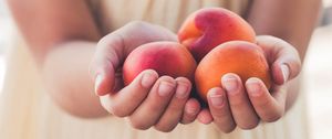 Preview wallpaper apricots, fruit, ripe, hands