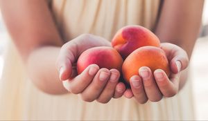 Preview wallpaper apricots, fruit, ripe, hands