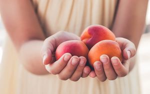 Preview wallpaper apricots, fruit, ripe, hands