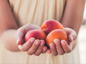 Preview wallpaper apricots, fruit, ripe, hands