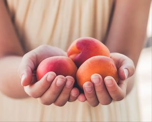 Preview wallpaper apricots, fruit, ripe, hands