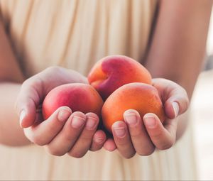 Preview wallpaper apricots, fruit, ripe, hands