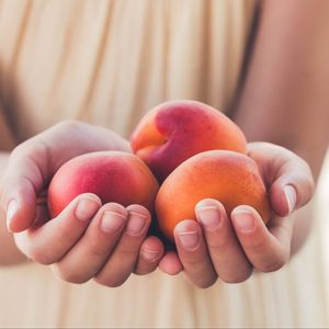 Preview wallpaper apricots, fruit, ripe, hands