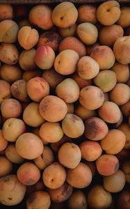 Preview wallpaper apricots, fruit, yellow, ripe