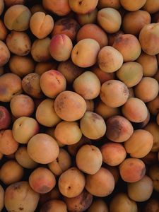 Preview wallpaper apricots, fruit, yellow, ripe