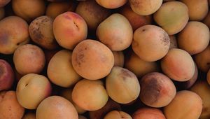 Preview wallpaper apricots, fruit, yellow, ripe