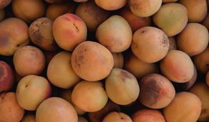 Preview wallpaper apricots, fruit, yellow, ripe