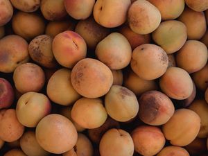 Preview wallpaper apricots, fruit, yellow, ripe