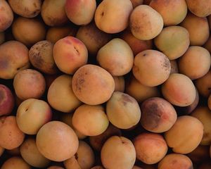 Preview wallpaper apricots, fruit, yellow, ripe