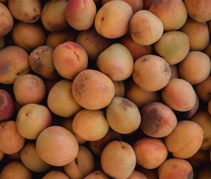 Preview wallpaper apricots, fruit, yellow, ripe