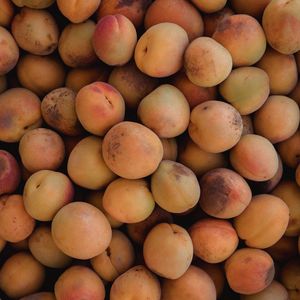 Preview wallpaper apricots, fruit, yellow, ripe