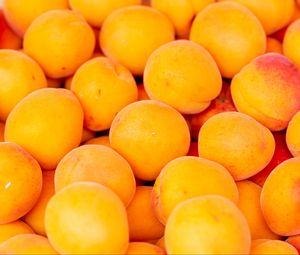 Preview wallpaper apricots, fruit, yellow, ripe, fresh
