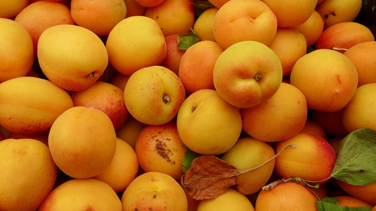 Wallpaper apricots, fruit, yellow, ripe, summer