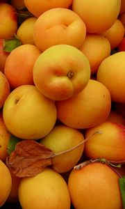 Preview wallpaper apricots, fruit, yellow, ripe, summer