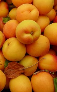 Preview wallpaper apricots, fruit, yellow, ripe, summer