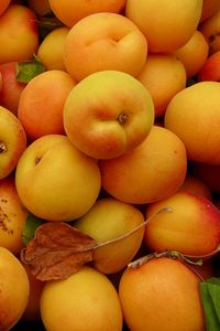 Preview wallpaper apricots, fruit, yellow, ripe, summer