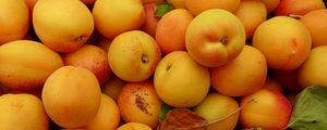 Preview wallpaper apricots, fruit, yellow, ripe, summer