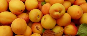 Preview wallpaper apricots, fruit, yellow, ripe, summer