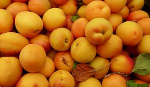 Preview wallpaper apricots, fruit, yellow, ripe, summer