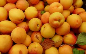 Preview wallpaper apricots, fruit, yellow, ripe, summer