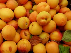 Preview wallpaper apricots, fruit, yellow, ripe, summer