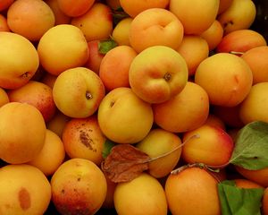 Preview wallpaper apricots, fruit, yellow, ripe, summer