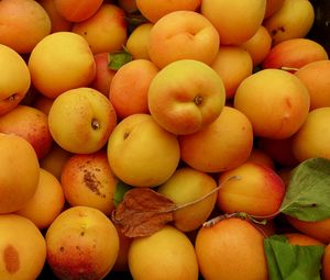 Preview wallpaper apricots, fruit, yellow, ripe, summer