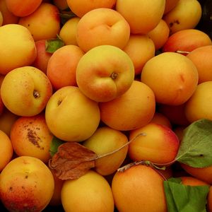 Preview wallpaper apricots, fruit, yellow, ripe, summer