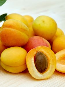 Preview wallpaper apricots, fruits, ripe, stone