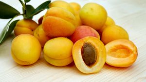 Preview wallpaper apricots, fruits, ripe, stone