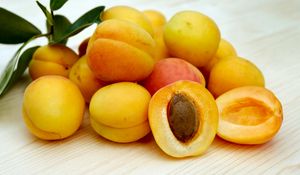 Preview wallpaper apricots, fruits, ripe, stone