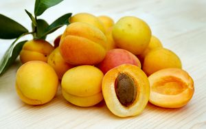 Preview wallpaper apricots, fruits, ripe, stone
