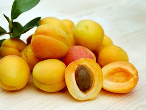 Preview wallpaper apricots, fruits, ripe, stone