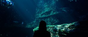 Preview wallpaper aquarium, fish, silhouette, dark, underwater world