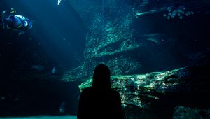 Preview wallpaper aquarium, fish, silhouette, dark, underwater world