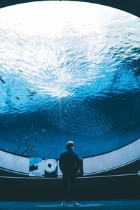 Preview wallpaper aquarium, man, room, water, fish