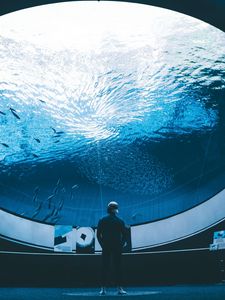 Preview wallpaper aquarium, man, room, water, fish