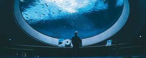 Preview wallpaper aquarium, man, room, water, fish