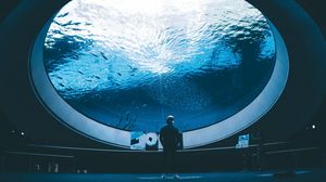 Preview wallpaper aquarium, man, room, water, fish