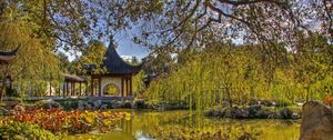 Preview wallpaper arbor, china, tree, branches, pond, flora
