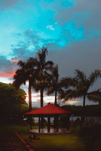 Preview wallpaper arbor, palm trees, sunset, sky, tropics