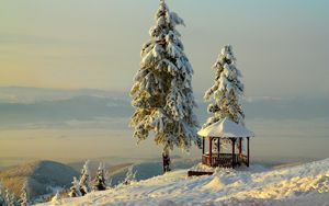 Preview wallpaper arbor, winter, snow, mountains, relief, trees