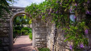 Preview wallpaper arch, garden, yard, flowers, summer, solarly