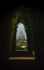 Preview wallpaper arch, plants, dome, architecture