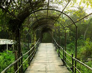 Preview wallpaper arch, tunnel, garden, passage